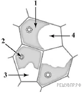 Иллюстрация к заданию по теме «Задания для подготовки»